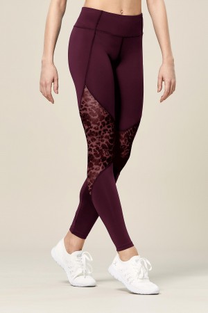 Women's Bloch Ezra Animal Printed Mesh Panelled Full Length Tight Bottoms Lavish | ZMYNQ43081